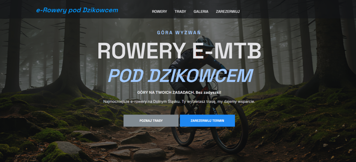 wypożyczalnia rowerów