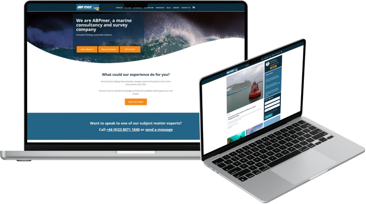 Portal biznesowy CMS