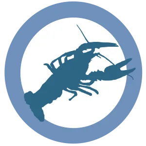 Crawdad Software